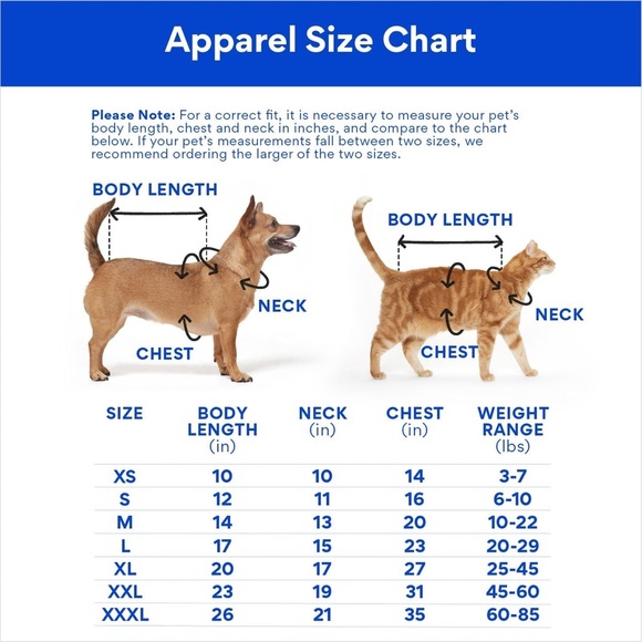 Disney Cinderella "Dreams Come True" Dog & Cat Sweatshirt Dress - Size Medium - Picture 10 of 13